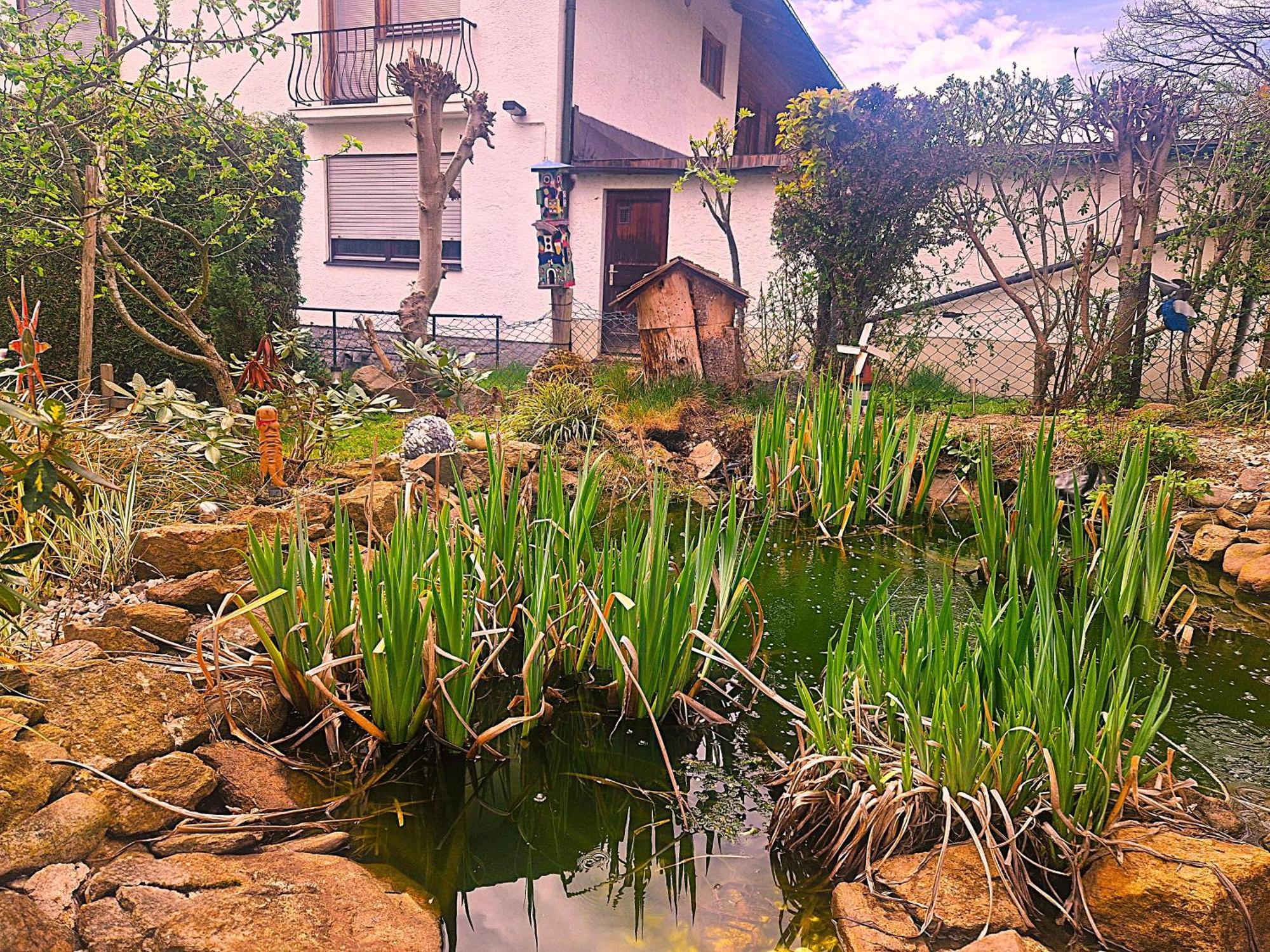 Pension Landhaus Koller - Adults Only Bodenmais Luaran gambar